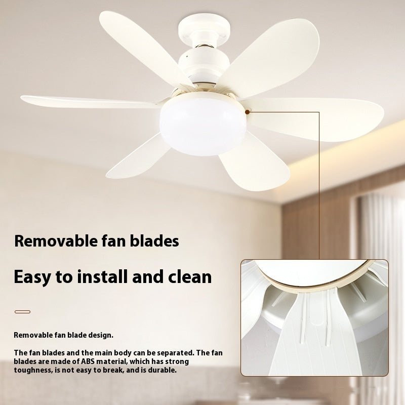 Ceiling fan light installed in a living room
